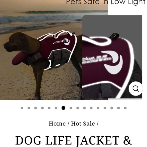 Life jacket for dogs - Picture 8 of 10